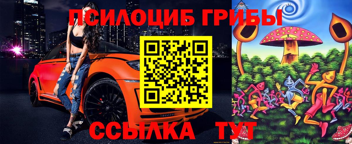 Псилоцибиновые грибы GOLDEN TEACHER Будённовск