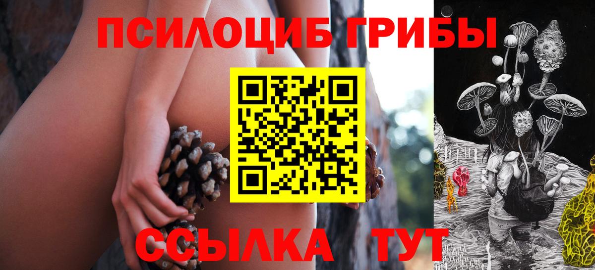Псилоцибиновые грибы Cubensis  Псилоцибиновые грибы мухоморы  Будённовск  Вход с VPN 